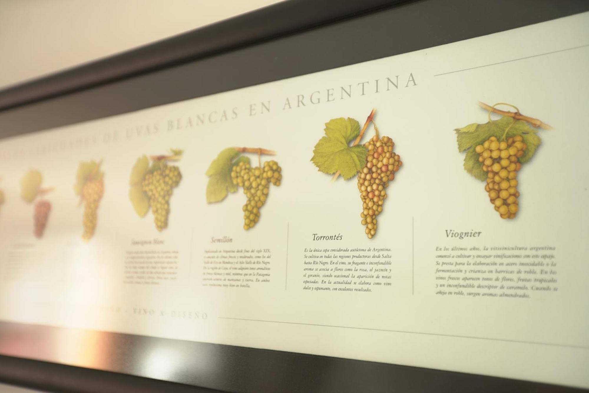 Cepas De Mar Resort&wine * Las Gaviotas