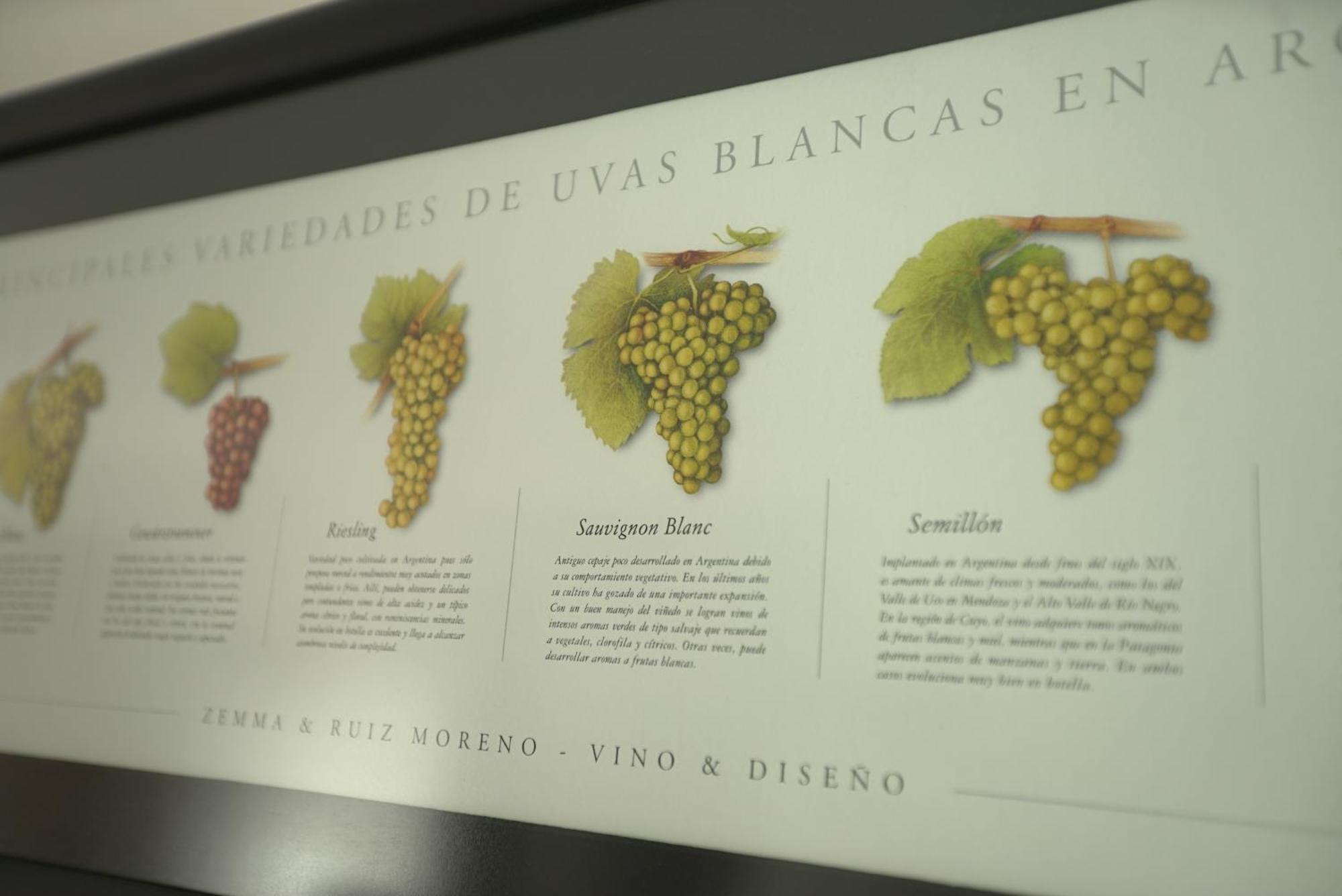 Cepas De Mar Resort&wine Las Gaviotas